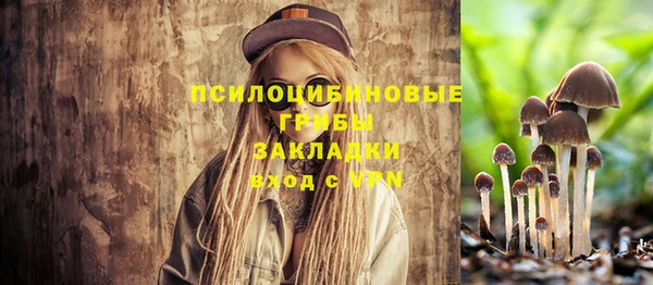 герыч Бородино