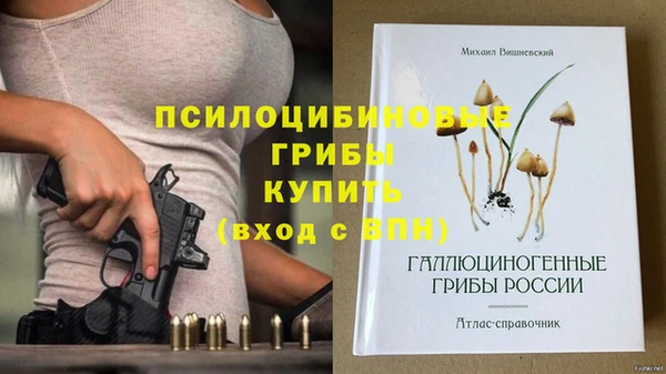 молекула духа Верея