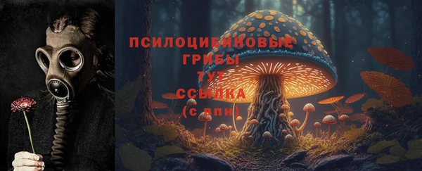 MDMA Верхний Тагил